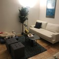 Room for rent in Battery Park #3