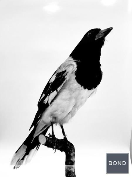 Studio Apartment for rent in Upper West Side - Manhattan, New York