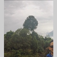 Looking for a roommate in Miami Dade, Miami Beach, Miami - Miami