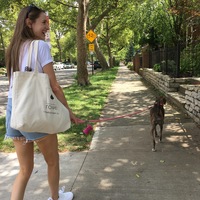 Looking for a roommate in Brooklyn, Manhattan - New York