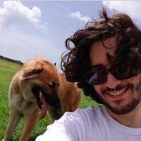 Looking for a roommate in The Bronx, Brooklyn, Manhattan - New York