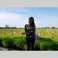 Looking for a roommate in Jersey City / Hoboken, Manhattan - New York