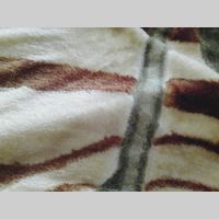 Looking for a roommate in Jersey City / Hoboken, Brooklyn, Manhattan - New York