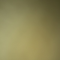 Looking for a roommate in Toronto - Toronto