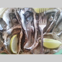 Looking for a roommate in Queens, Brooklyn, Manhattan - New York