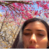 Looking for a roommate in Brooklyn, Manhattan - New York