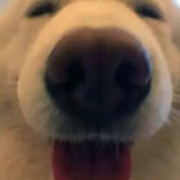 Looking for a roommate in South Bay - San Francisco