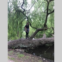 Looking for a roommate in Queens, Brooklyn, Manhattan - New York