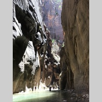 Looking for a roommate in Jersey City / Hoboken, Manhattan - New York