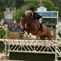 Looking for a roommate in Manhattan - New York