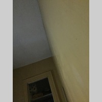 Looking for a roommate in Staten Island, Queens, Brooklyn - New York