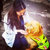 Looking for a roommate in Jersey City / Hoboken, Manhattan - New York