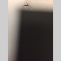 Looking for a roommate in Toronto - Toronto