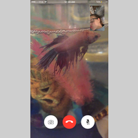 Looking for a roommate in Manhattan - New York