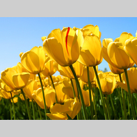 Looking for a roommate in South Atl, West Atl, North Atl, East Atl, Central Atl - Atlanta