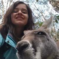 Looking for a roommate in Brooklyn, Manhattan - New York