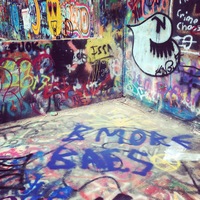 Looking for a roommate in West Philadelphia - Philadelphia