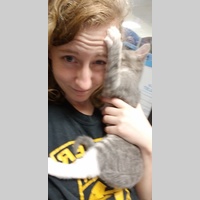 Looking for a roommate in North Atl - Atlanta