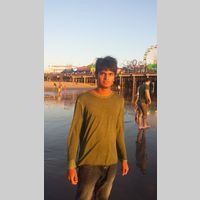 Looking for a roommate in Westside / South Bay - Los Angeles