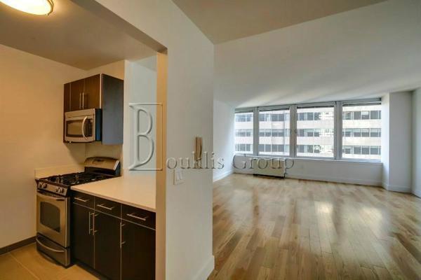 1 bedroom apartment for rent in Tribeca - Manhattan, New York