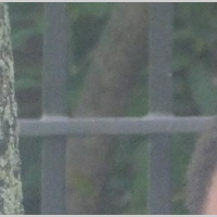 Looking for a roommate in Maryland, Fair Fax / Va Commonwealth, Washington Northwest, Washington Northeast - Washington DC