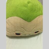 Looking for a roommate in Queens, Brooklyn, Manhattan - New York