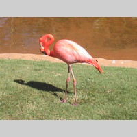 Looking for a roommate in Manhattan - New York