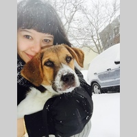 Looking for a roommate in Brooklyn - New York