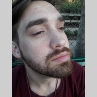 Looking for a roommate in Central Los Angeles, San Fernando Valley, The Harbor, Westside / South Bay - Los Angeles