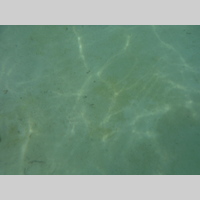 Looking for a roommate in Toronto - Toronto