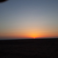 Looking for a roommate in Palm Beach County, Miami Dade, Broward County - Miami