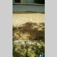 Looking for a roommate in Manhattan - New York