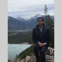 Looking for a roommate in Toronto - Toronto