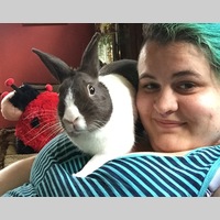 Looking for a roommate in Staten Island - New York