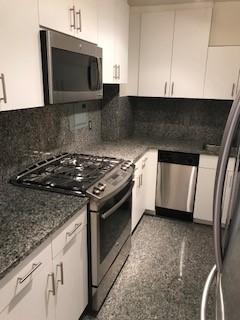 2 bedrooms apartment for rent in Riverdale - The Bronx, New York