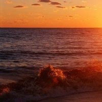 Looking for a roommate in Fair Fax / Va Commonwealth, Washington Northwest - Washington DC