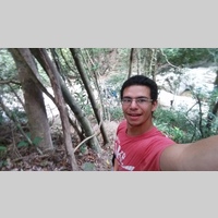 Looking for a roommate in Queens, Brooklyn, Manhattan - New York