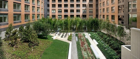 1 bedroom apartment for rent in Midtown West - Manhattan, New York