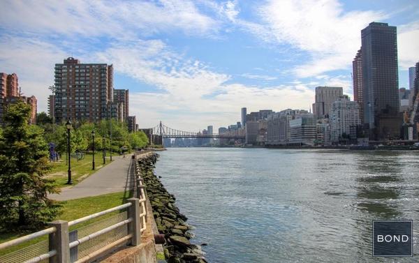 1 bedroom apartment for rent in Midtown East - Manhattan, New York