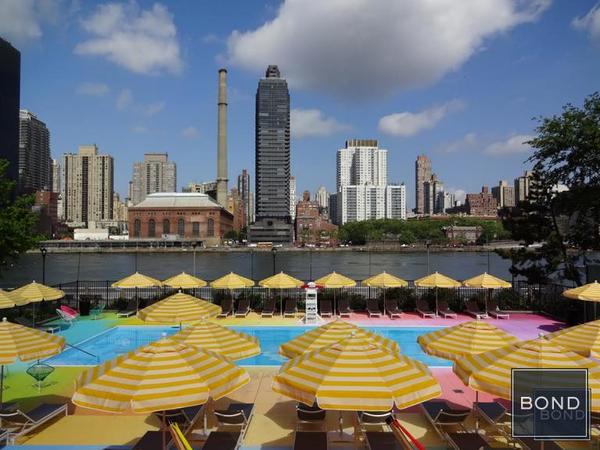 1 bedroom apartment for rent in Midtown East - Manhattan, New York