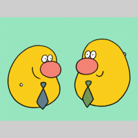 Looking for a roommate in The Verdugos, San Fernando Valley, Westside / South Bay - Los Angeles