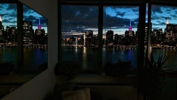 1 bedroom apartment for rent in LIC - Queens, New York