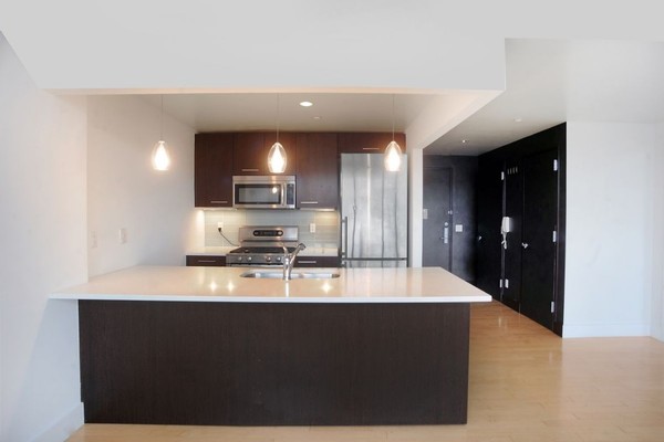 1 bedroom apartment for rent in LIC - Queens, New York