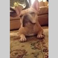 Looking for a roommate in Manhattan - New York