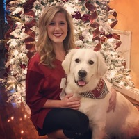 Looking for a roommate in Brooklyn, Manhattan - New York