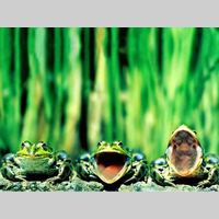 Looking for a roommate in Manhattan - New York