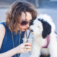 Looking for a roommate in Manhattan - New York