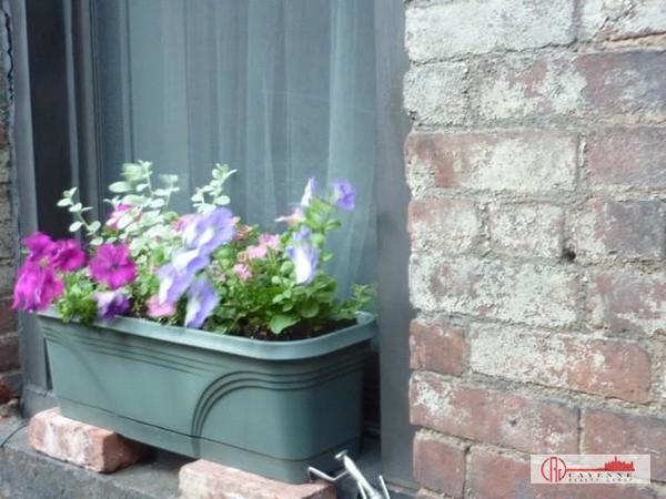 1 bedroom apartment for rent in Upper East Side - Manhattan, New York