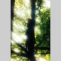 Looking for a roommate in Contra Costa County, Santa Cruz, South Bay, North Bay, Peninsula, East Bay, San Francisco - San Francisco