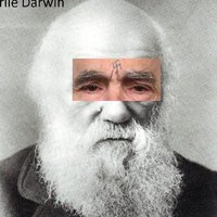 Looking for a roommate in Miami Beach - Miami